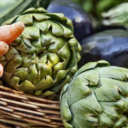 Penzion Gullu Konaklari 3*