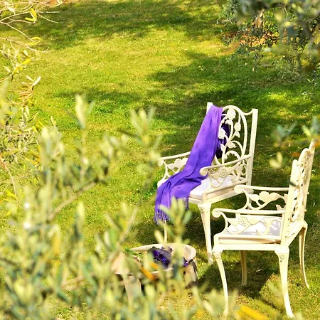 Gullu Konaklari Penzion