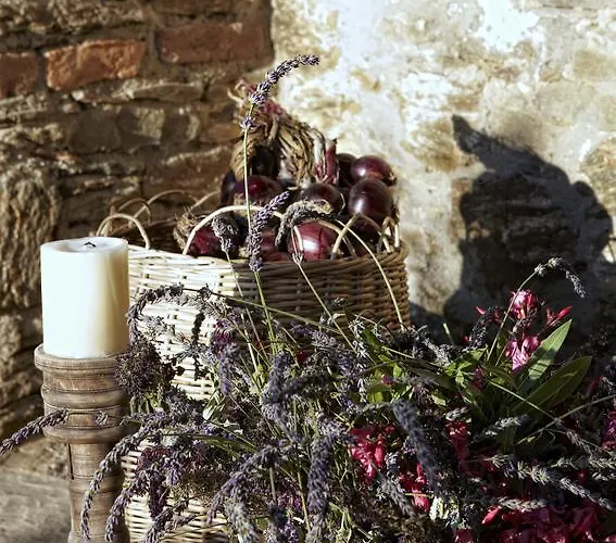 여관 Gullu Konaklari