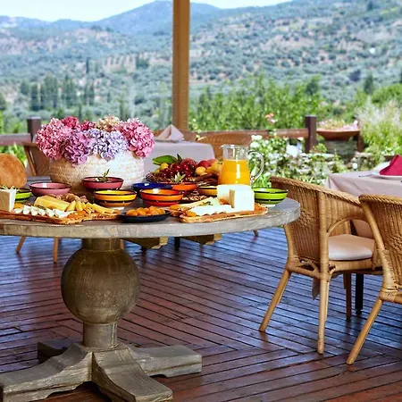 Мини-отель Gullu Konaklari