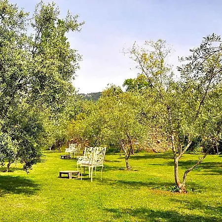 Inn Gullu Konaklari 3*
