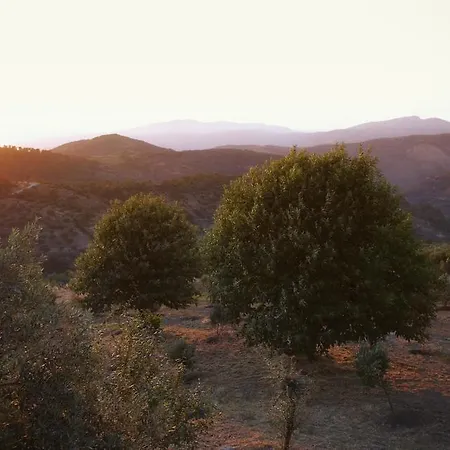 Gullu Konaklari Mini-hôtel 3*