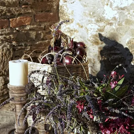 Mini-hôtel Gullu Konaklari