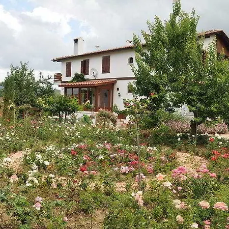 Gullu Konaklari 3* סלצ'וק