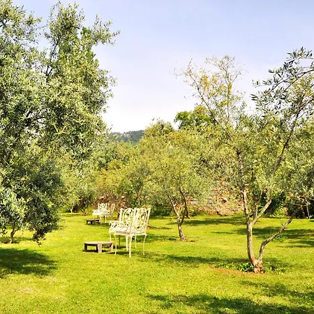 Gullu Konaklari 3* 塞尔丘克