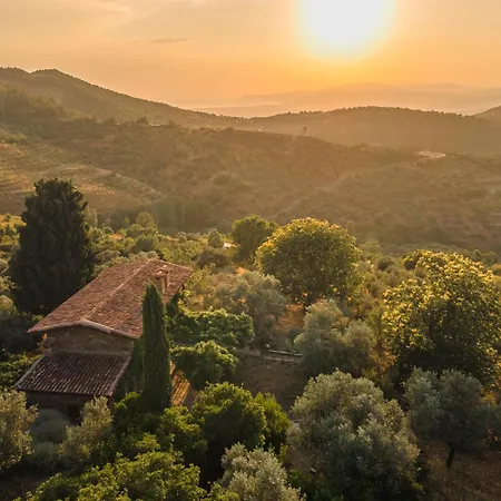 Gullu Konaklari Inn