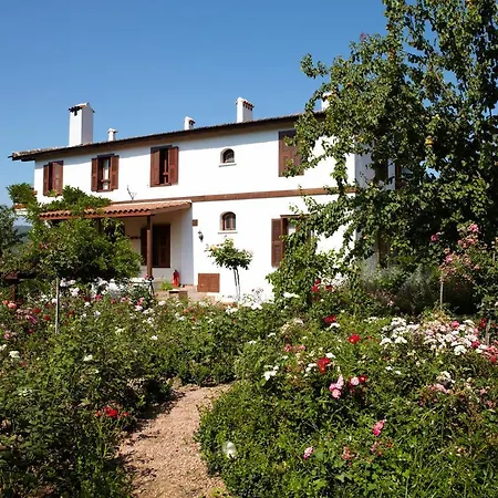 Gullu Konaklari 宾馆 塞尔丘克