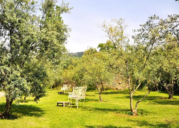 Gullu Konaklari 3* Selçuk