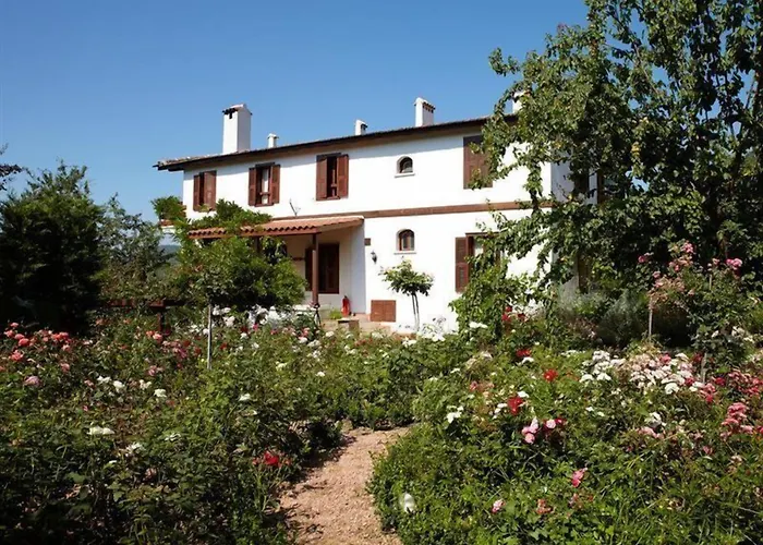 Gullu Konaklari 3* Selçuk