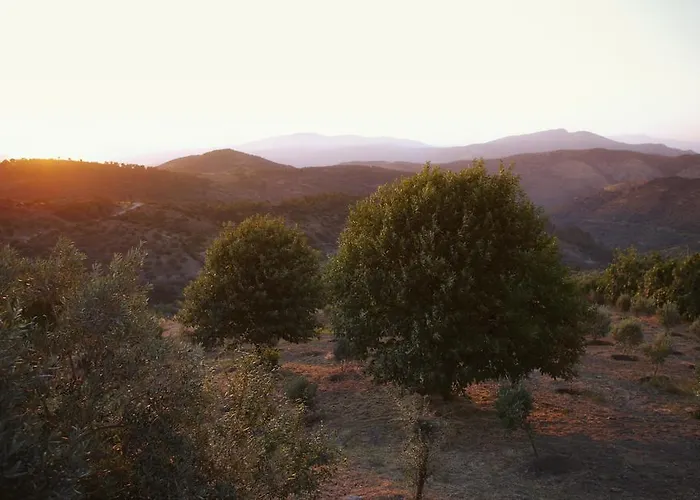 Gullu Konaklari Zajazd 3*