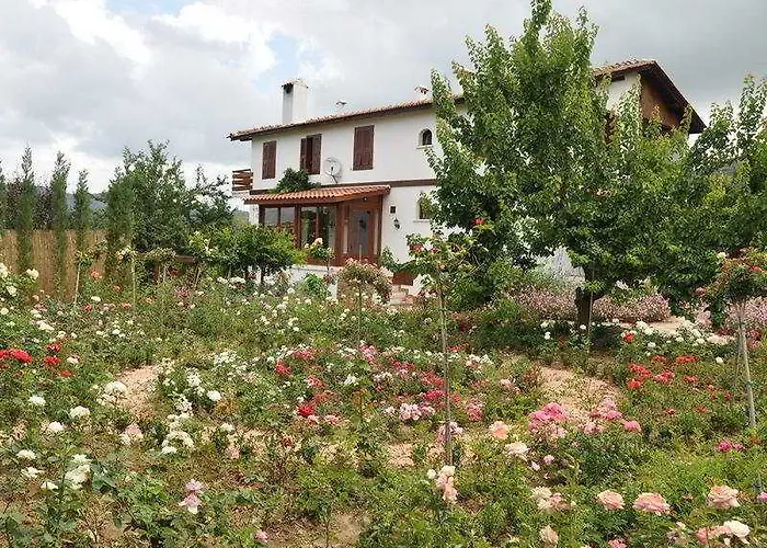 Gullu Konaklari 3* Selçuk