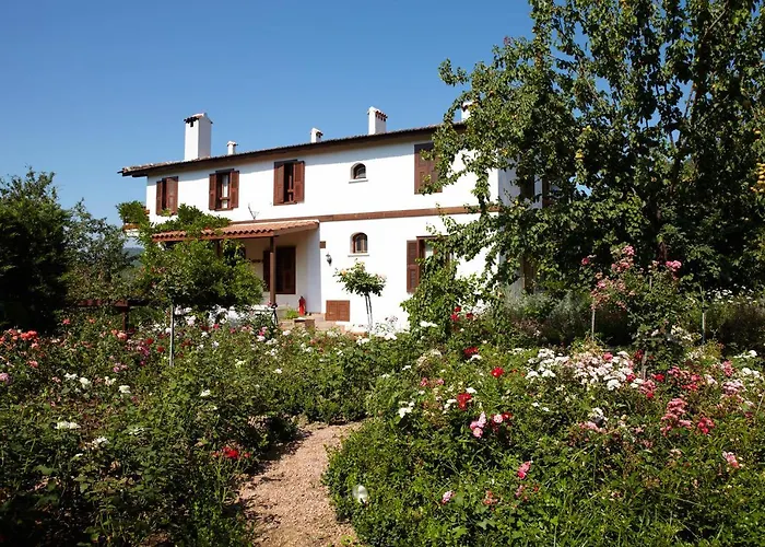 Gullu Konaklari Zajazd Selçuk